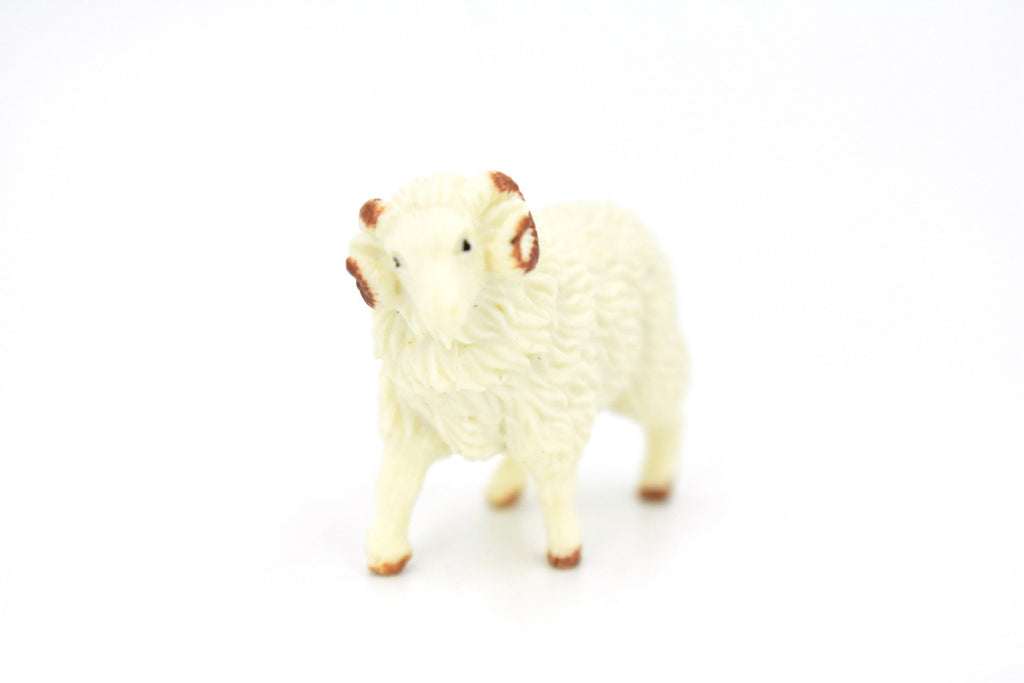 Sheep, Ram Domestic, White, Plastic Animal, Educational, Toy, Kids, Realistic Figure, Model, Figurine, Replica, Gift,  1.75"  F4152 B140
