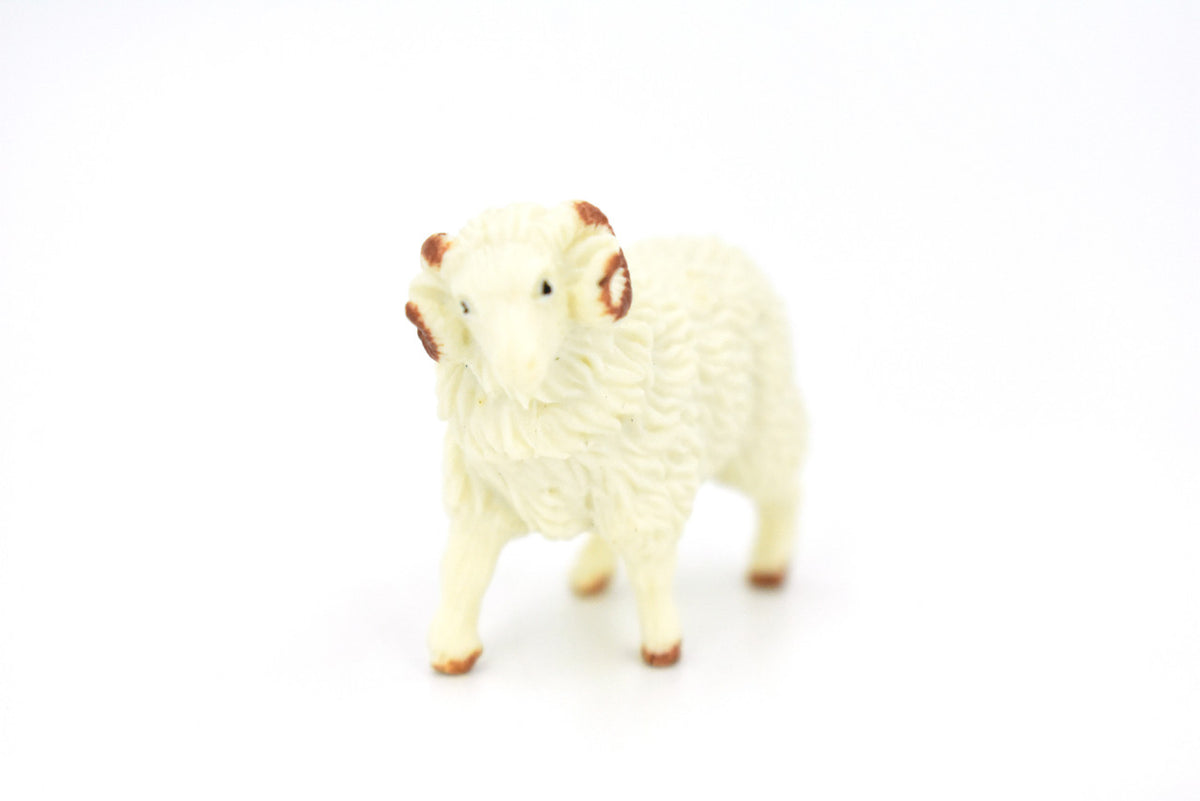 Sheep, Ram Domestic, White, Plastic Animal, Educational, Toy, Kids, Realistic Figure, Model, Figurine, Replica, Gift,  1.75"  F4152 B140