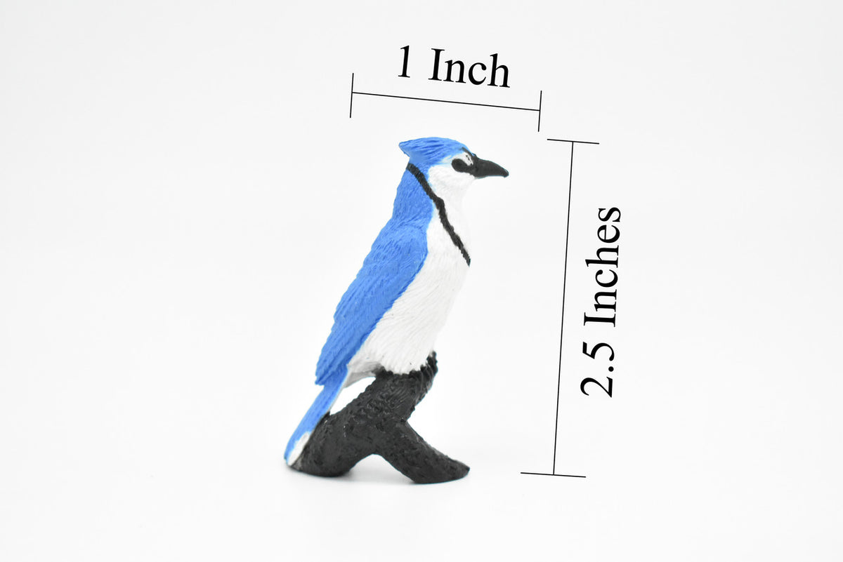 Blue Jay,  Rubber Bird, Educational, Realistic, Hand Painted, Figure, Lifelike Model, Figurine, Replica, Gift,    2 1/2"  