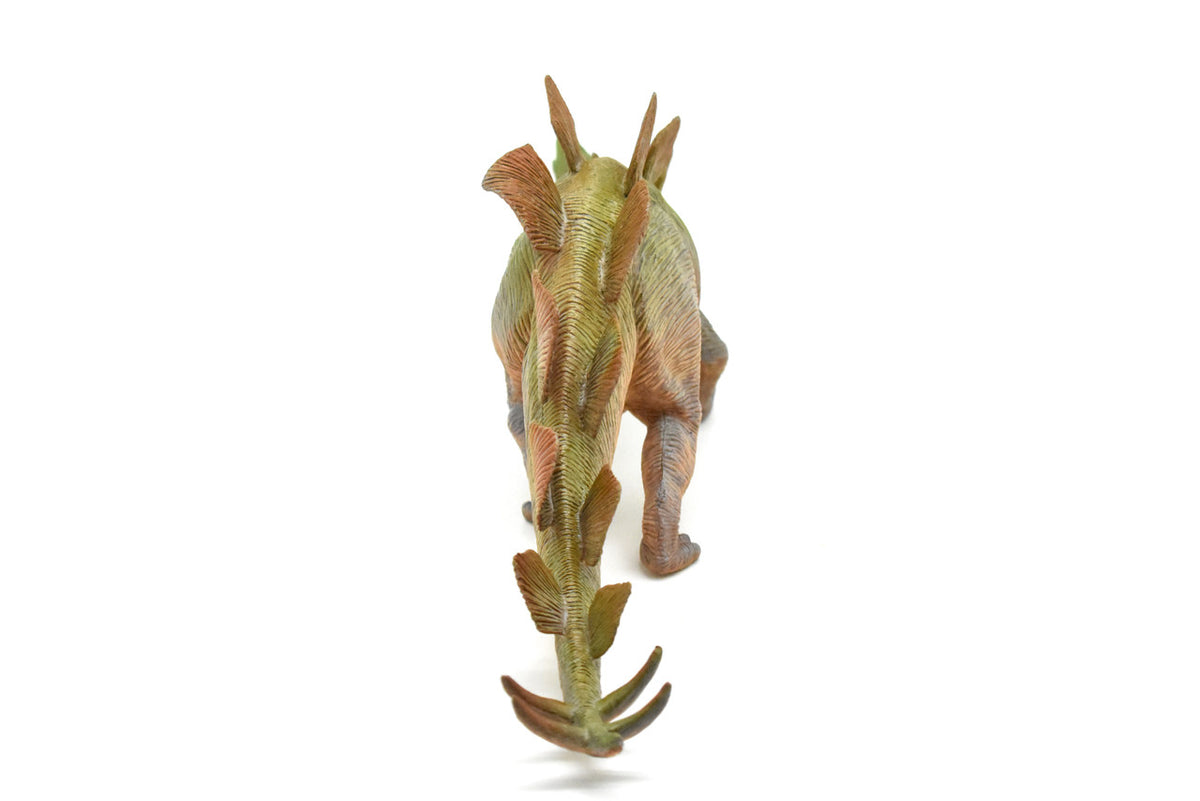 Stegosaurus, Dinosaur, Stegosaurus armatus, Jurassic herbivore, Museum Quality, Realistic, Educational, Hand Painted, Lifelike Design, Diorama Model, Replica, Toy, Gift     16 Inches        CWG154 BB30