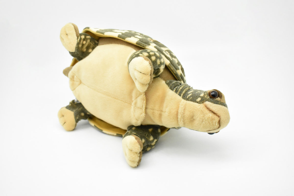 Box Turtle Plush Toy, Realistic Stuffed Animal, Tortoise, Turtle, Stuffed Turtle, Educational, Plush Realistic Figure, Lifelike Model, Soft Plush Turtle   12"   F4001 BB53