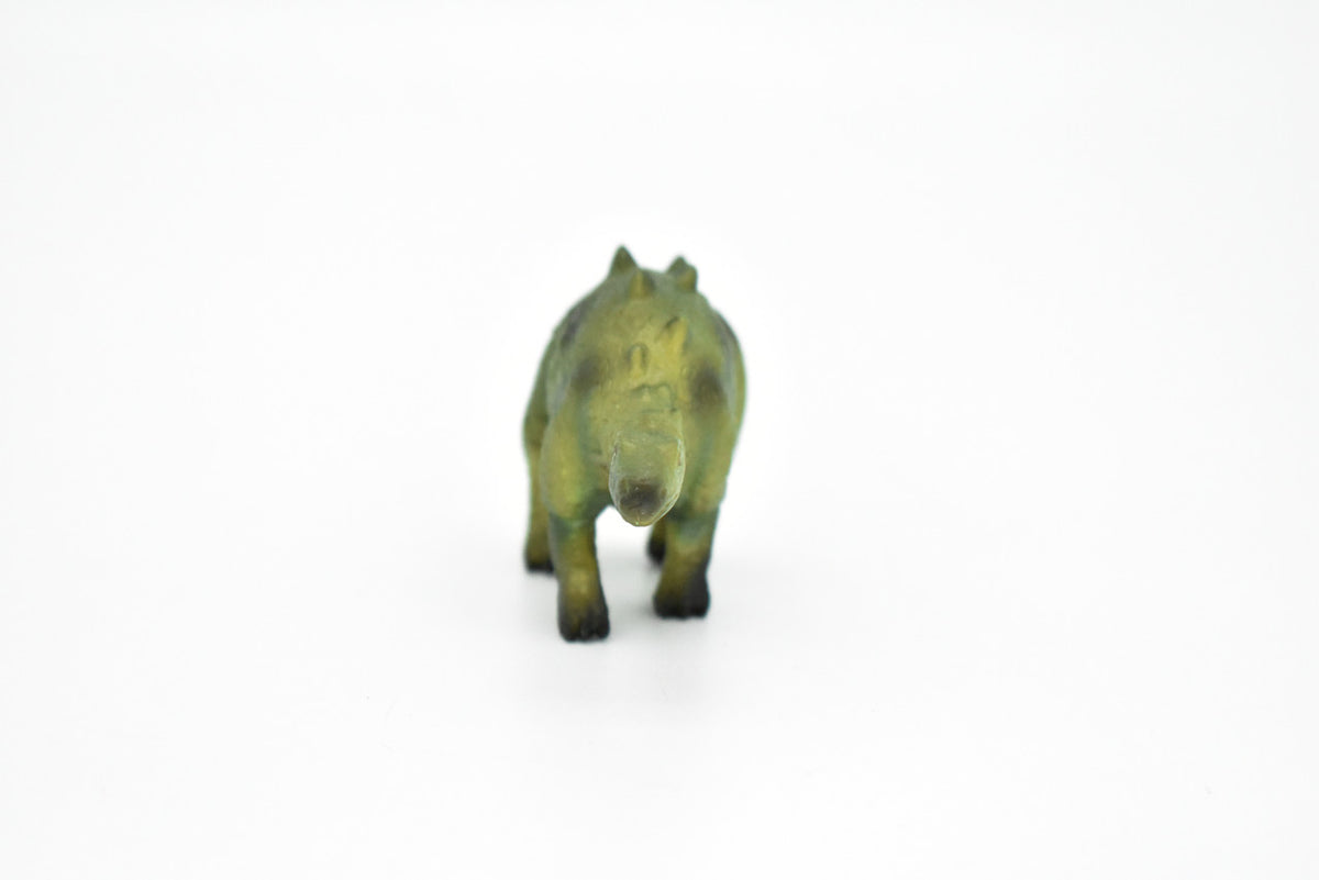 Stegosaurus Young Dinosaur, Museum Quality, Animal, Educational, Realistic Hand Painted, Figure, Lifelike Model, Vintage Replica, Toy, Gift,    4 Inches.     F8003 B115