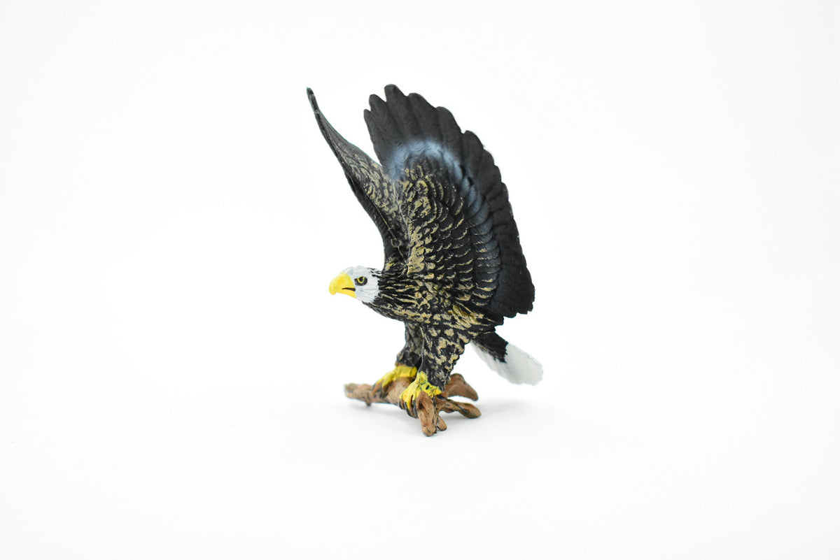 Bald Eagle, North America Eagle, Museum Quality, Rubber Bird, Hand Painted, Realistic Toy Figure, Diorama Model, Kids, Educational, Gift,       4 1/2 Inches.  