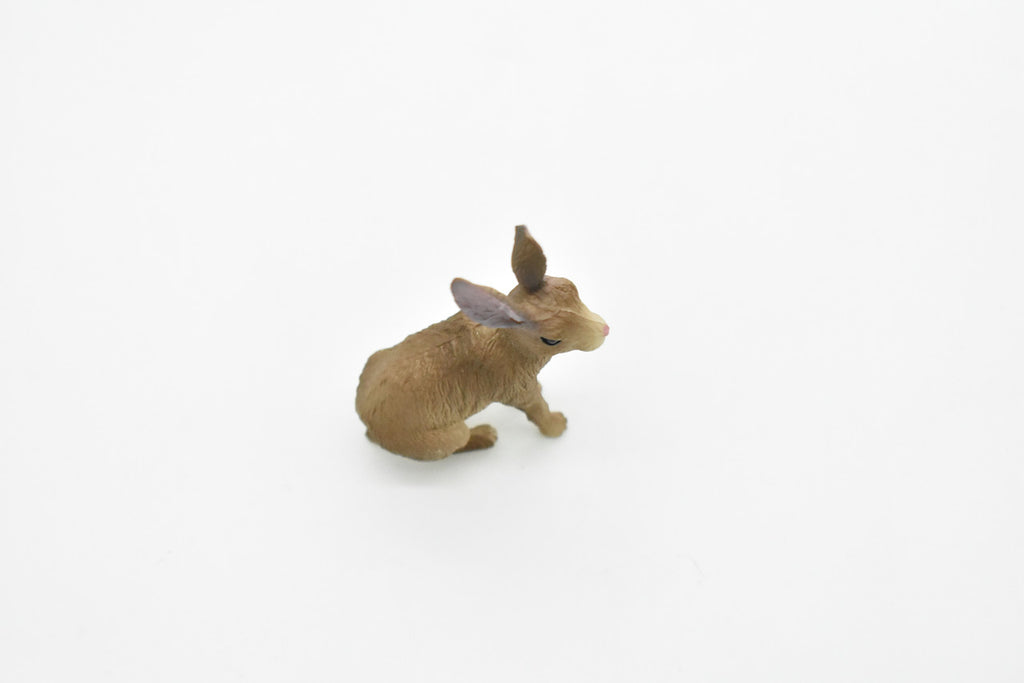 Jackrabbit, Hare, Very Realistic Rubber Figure, Hand Painted, Rubber Mammal, Realistic Toy Figure, Replica, Kids, Educational, Gift,   2 1/2 Inches.    CH066 BB79