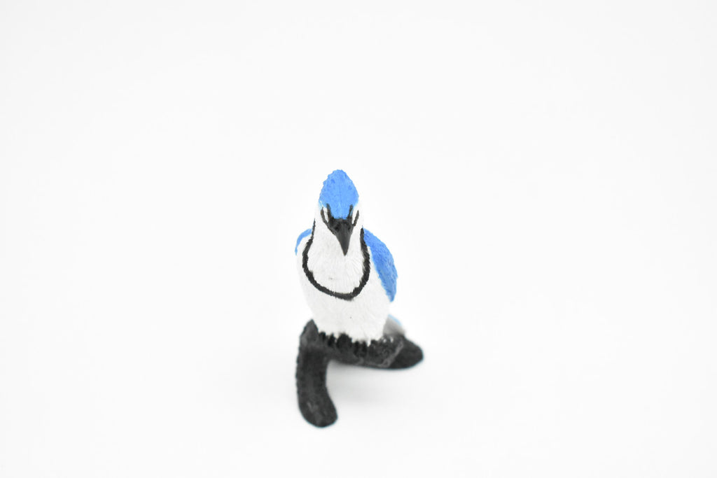 Blue Jay,  Rubber Bird, Educational, Realistic, Hand Painted, Figure, Lifelike Model, Figurine, Replica, Gift,    2 1/2"  