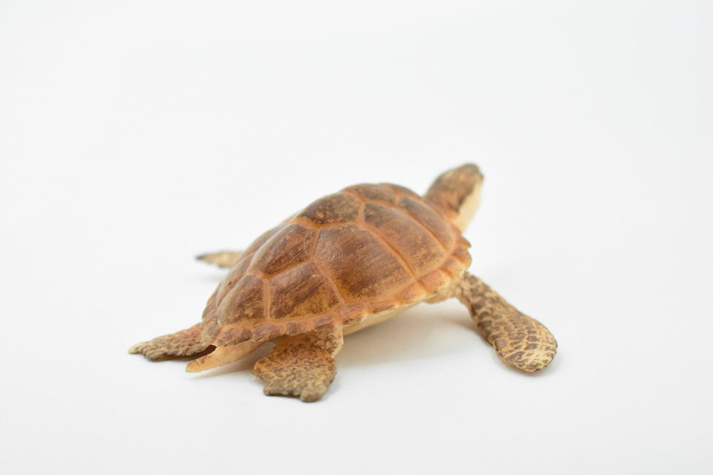 Turtle, Loggerhead Sea Turtle, Museum Quality, Hand Painted, Rubber Reptile, Realistic Toy Figure, Model, Replica, Kids, Educational, Gift,     3 1/2"     CH291 BB128