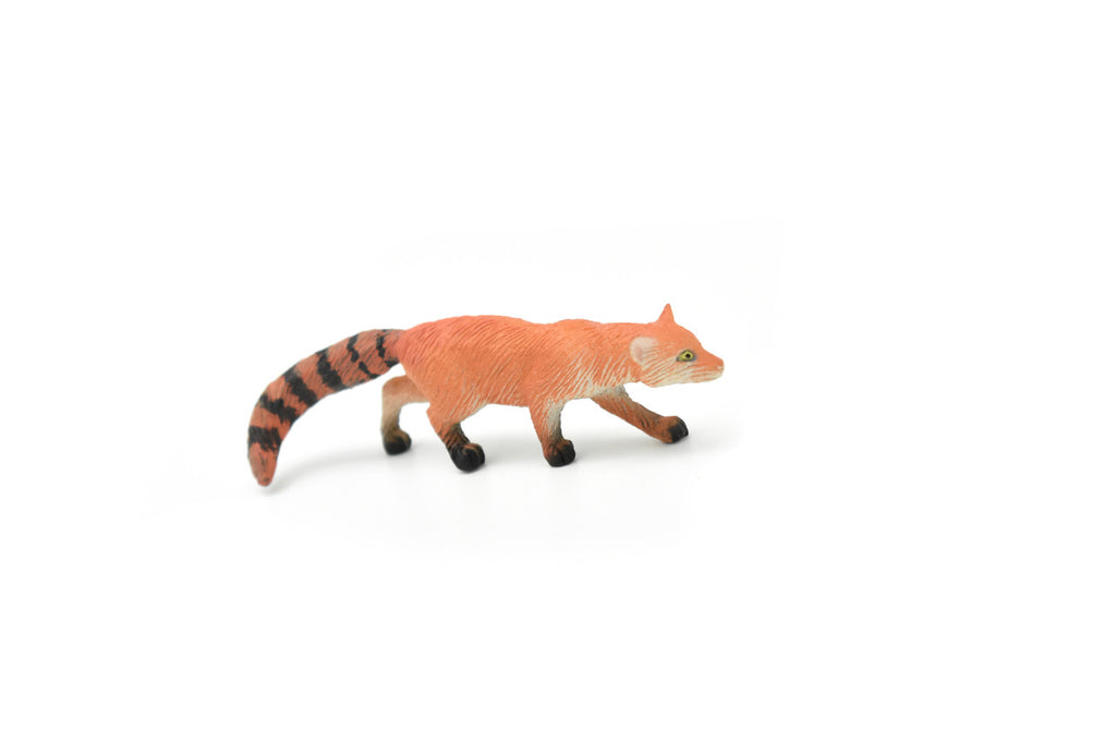 Mongoose, Red-tailed mongoose, Madagascar, Hand Painted, Realistic, Very Nice Rubber Design, Educational, Diorama Model, Lifelike, Toy, 3 Inches. 