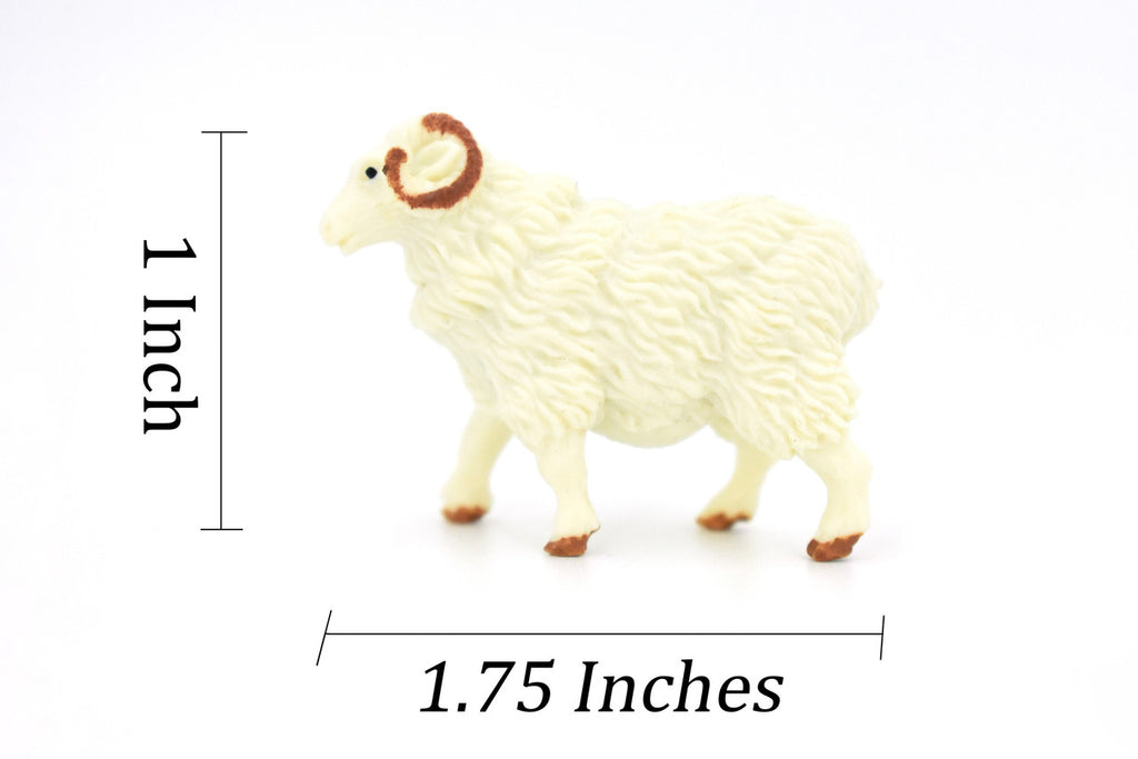 Sheep, Ram Domestic, White, Plastic Animal, Educational, Toy, Kids, Realistic Figure, Model, Figurine, Replica, Gift,  1.75"  F4152 B140