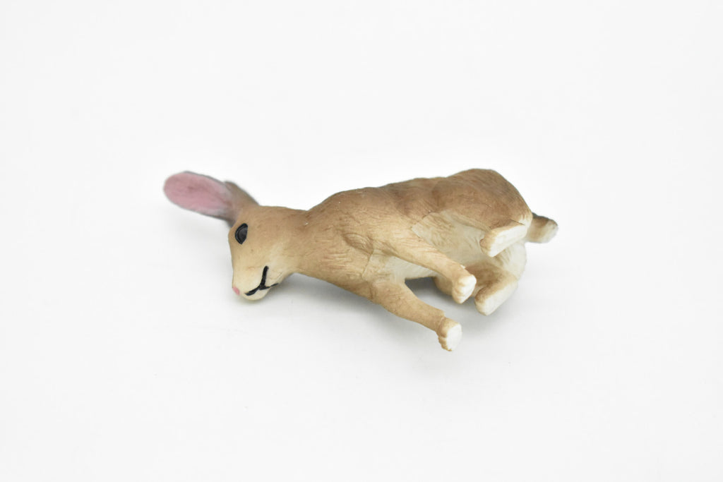 Jackrabbit, Hare, Very Realistic Rubber Figure, Hand Painted, Rubber Mammal, Realistic Toy Figure, Replica, Kids, Educational, Gift,   2 1/2 Inches.    CH066 BB79