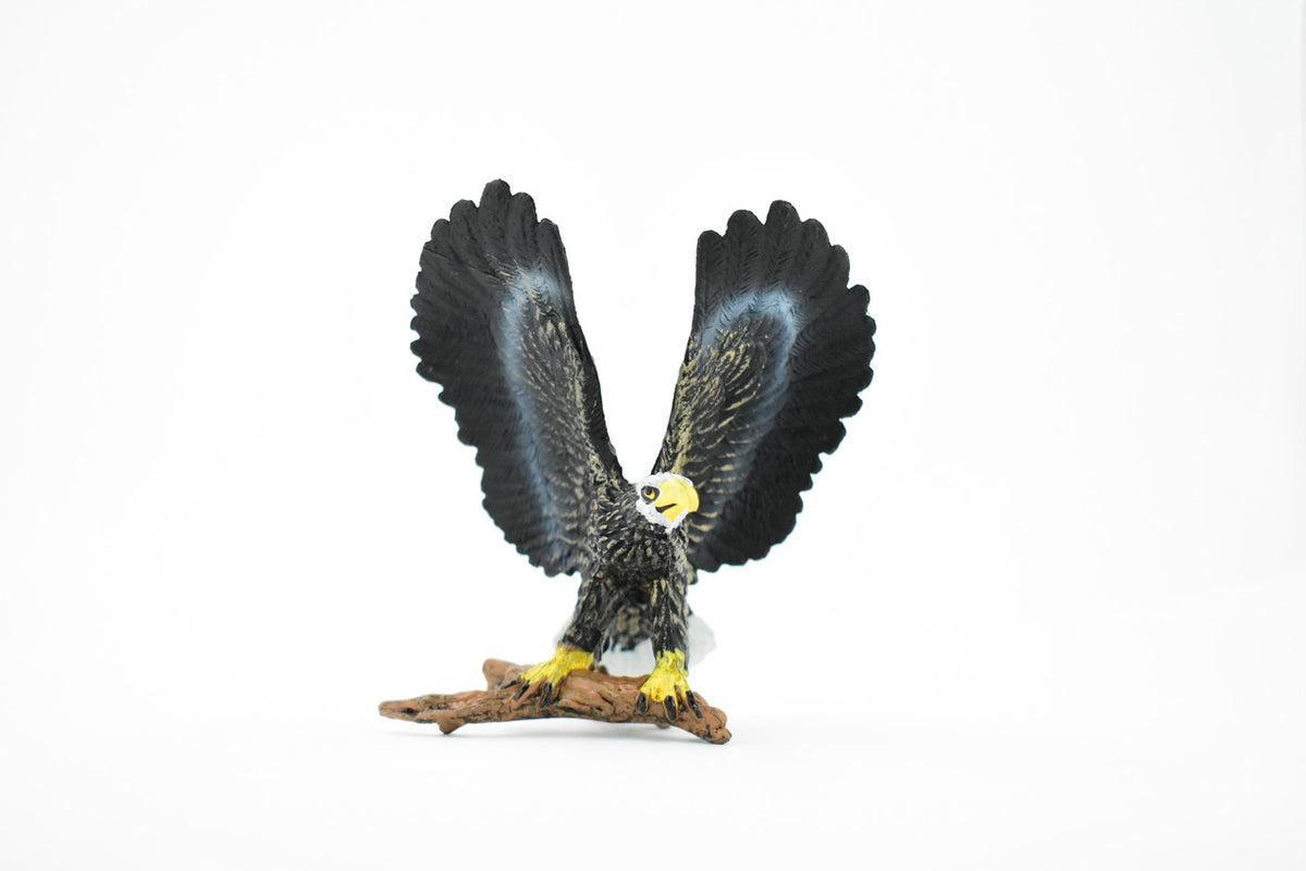 Bald Eagle, North America Eagle, Museum Quality, Rubber Bird, Hand Painted, Realistic Toy Figure, Diorama Model, Kids, Educational, Gift,       4 1/2 Inches.  