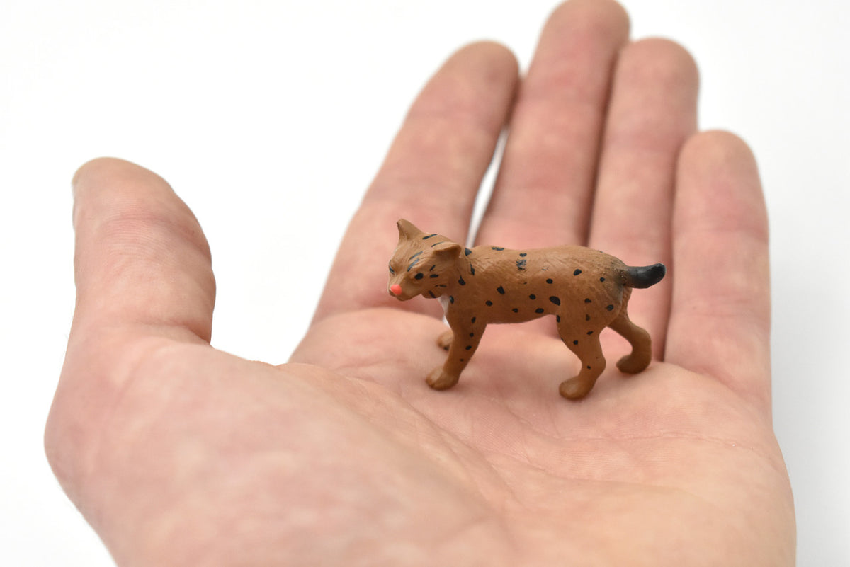 Bobcat, Cub, Nice Rubber Animal, Educational, Realistic Cat, Hand Painted, Figure, Lifelike Model, Figurine, Replica, Gift,     2 Inches   