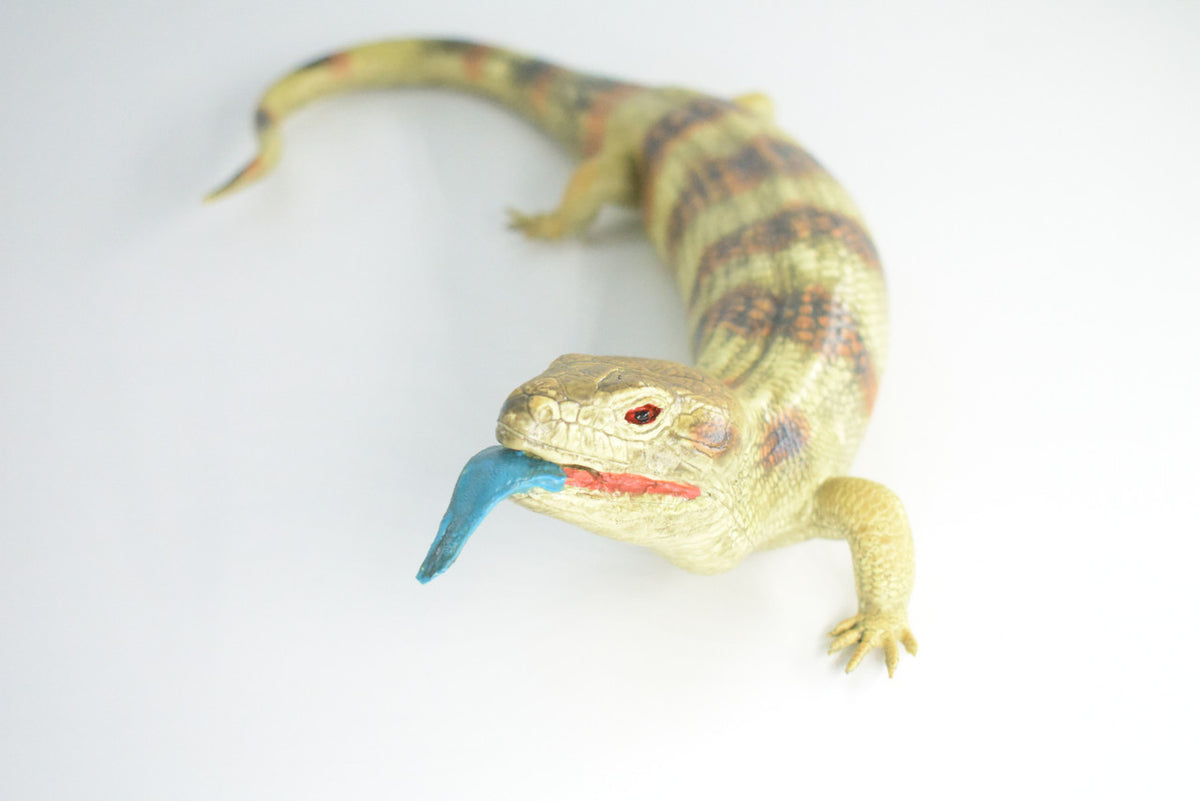 Blue Tongue Skink, High Quality, Hard Rubber Lizard, Hand Painted, Realistic Reptile, Toy Figure, Diorama Model, Replica, Kids, Educational, Gift,    15 Inches.   IM11 B657