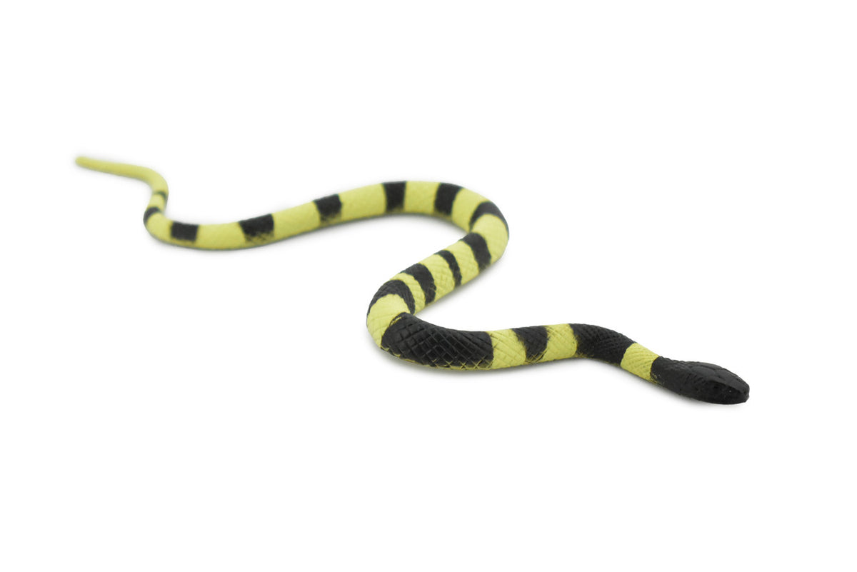 Snake, Banded Krait Snake, Rubber Reptile, Educational, Realistic Hand Painted, Figure, Lifelike Model, Figurine, Replica, Gift,     6"