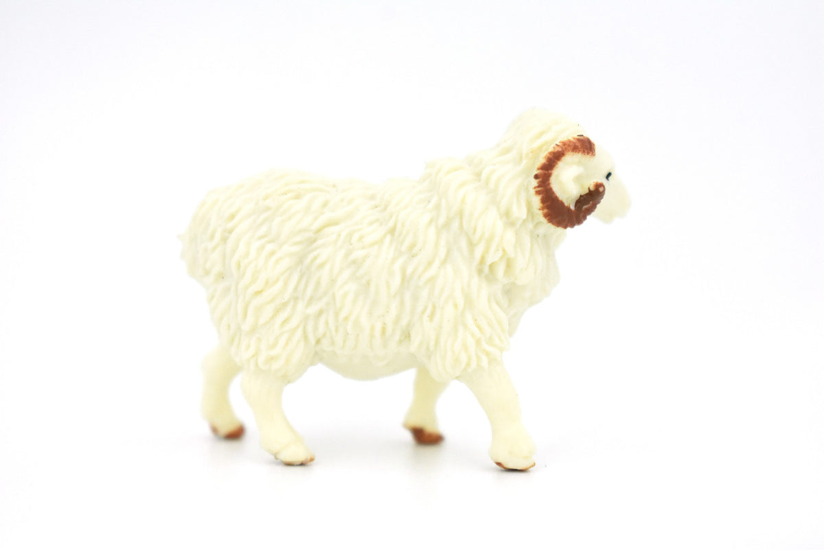 Sheep, Ram Domestic, White, Plastic Animal, Educational, Toy, Kids, Realistic Figure, Model, Figurine, Replica, Gift,  1.75"  F4152 B140
