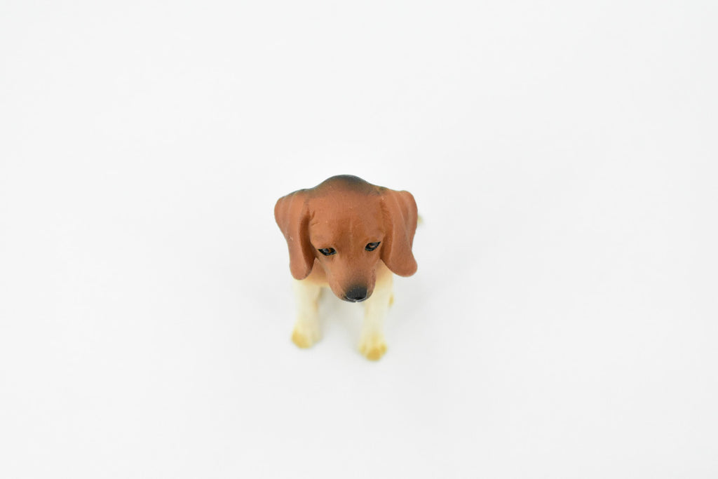 Beagle, Hound Dog, Rubber Canine, Hand Painted, Realistic Toy Figure, Model, Replica, Kids, Educational, Gift,      3"     CH230 BB119