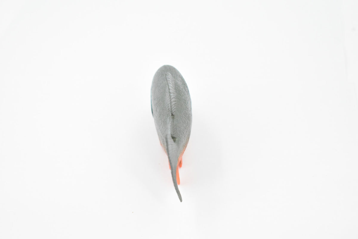 Fish, Red-Bellied Pranha, Museum Quality, Hand Painted, Rubber Fish, Realistic Toy Figure, Model, Replica, Kids, Educational, Gift,       4 1/2"     CH362 BB137