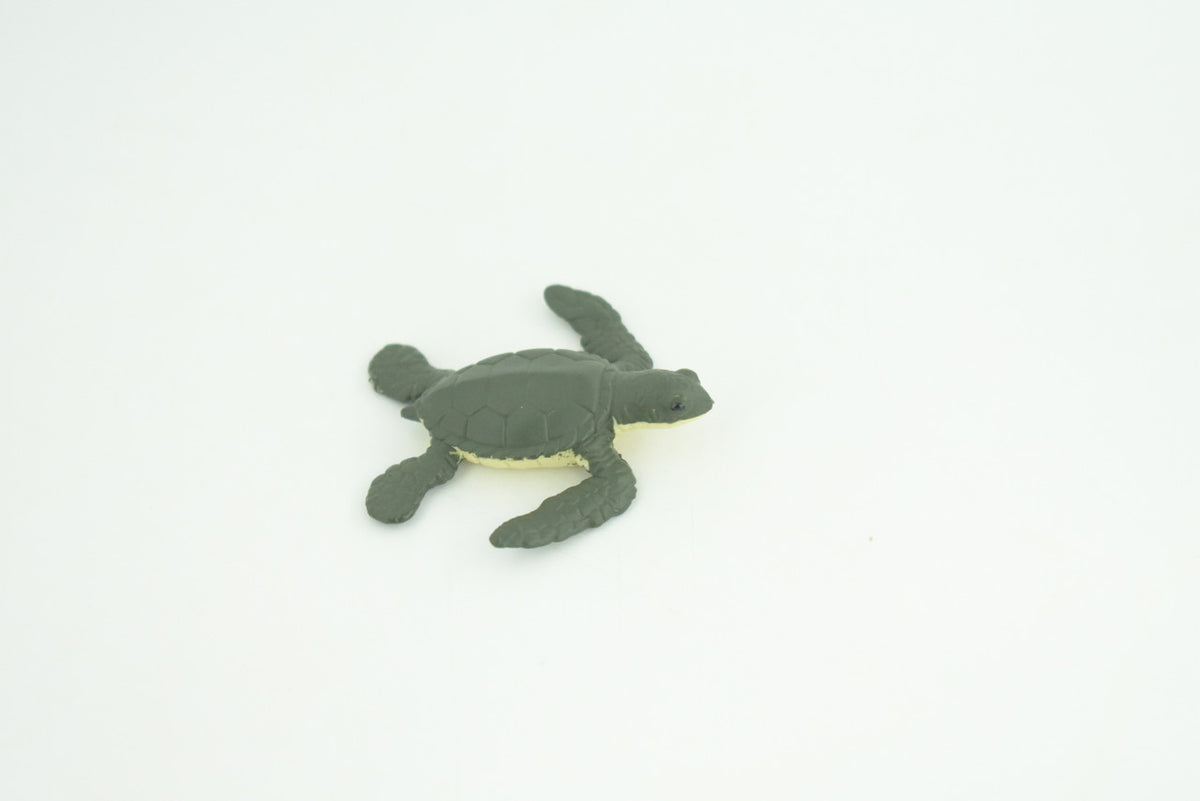 Sea Turtle Life Cycle, 4 Piece Set, Hand Painted, Educational, High Quality Rubber Reptile, Kemp’s Ridley Turtle, Diorama, Figure, Toys, Kids, Gift,  2 3/4  Inches.   CH994 BB215