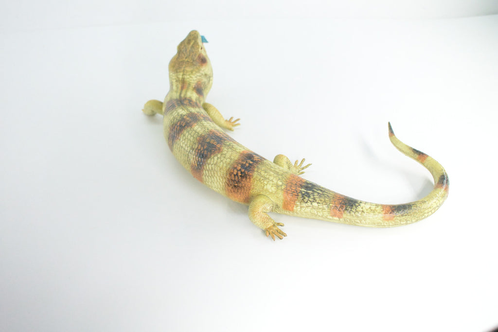 Blue Tongue Skink, High Quality, Hard Rubber Lizard, Hand Painted, Realistic Reptile, Toy Figure, Diorama Model, Replica, Kids, Educational, Gift,    15 Inches.   IM11 B657