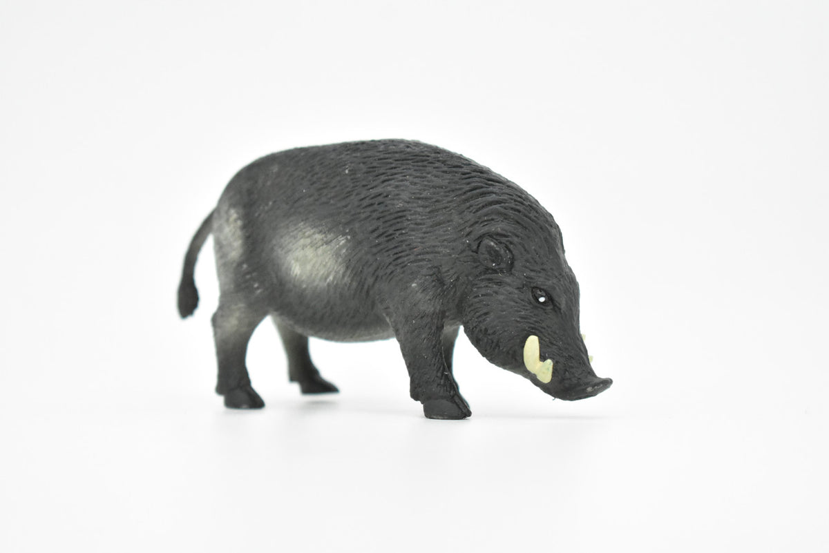 Wild Pig, Wild Boar, Swine, Realistic Rubber Reproduction, Hand Painted Figurines    3.5"     CH150 B247