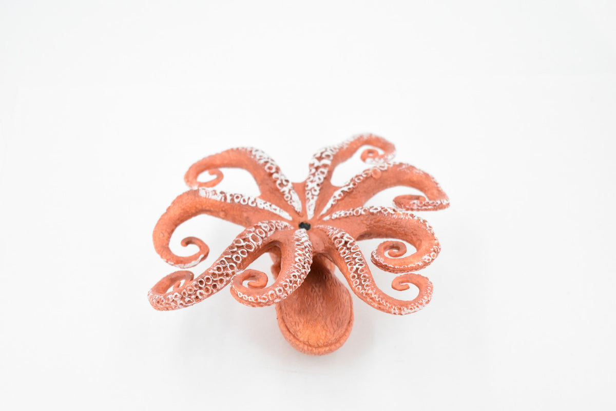 Octopus, Octopodes, Octopoda, Octopi, Ocean, Deep Sea, Rubber Realistic Toy Figure, Model, Replica, Kids, Educational, Gift,     4 1/2"    CH473 BB152