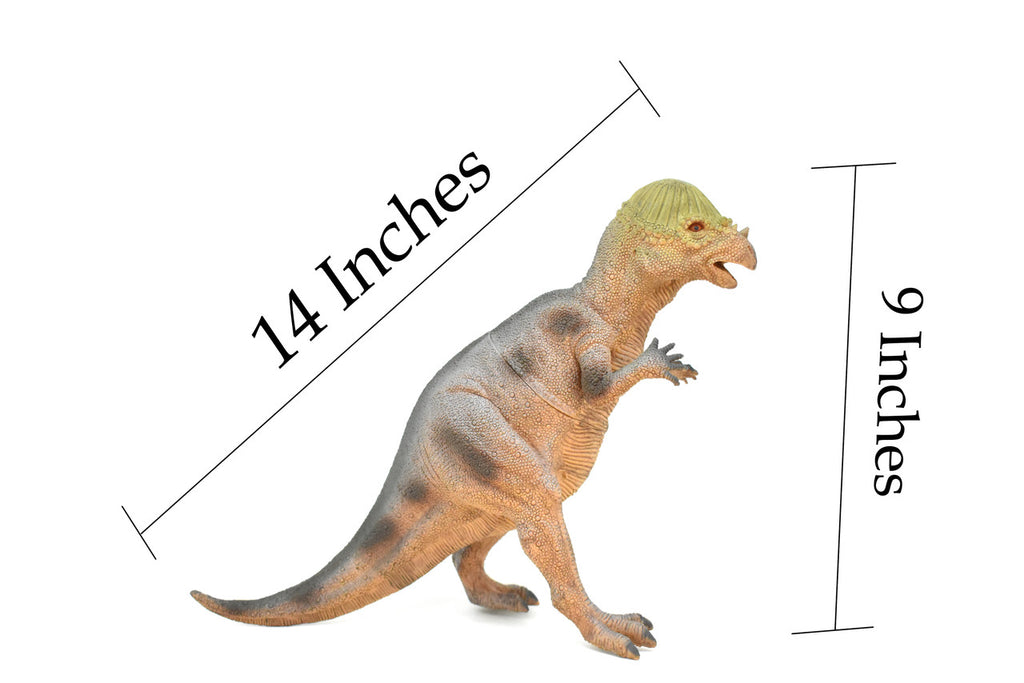 Stegoceras, Dinosaur, Late Cretaceous, Stegoceras validum, Museum Quality, Realistic, Educational, Hand Painted, Lifelike Design, Diorama Model, Replica, Toy, 14 Inches 