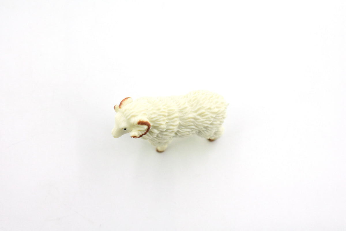 Sheep, Ram Domestic, White, Plastic Animal, Educational, Toy, Kids, Realistic Figure, Model, Figurine, Replica, Gift,  1.75"  F4152 B140