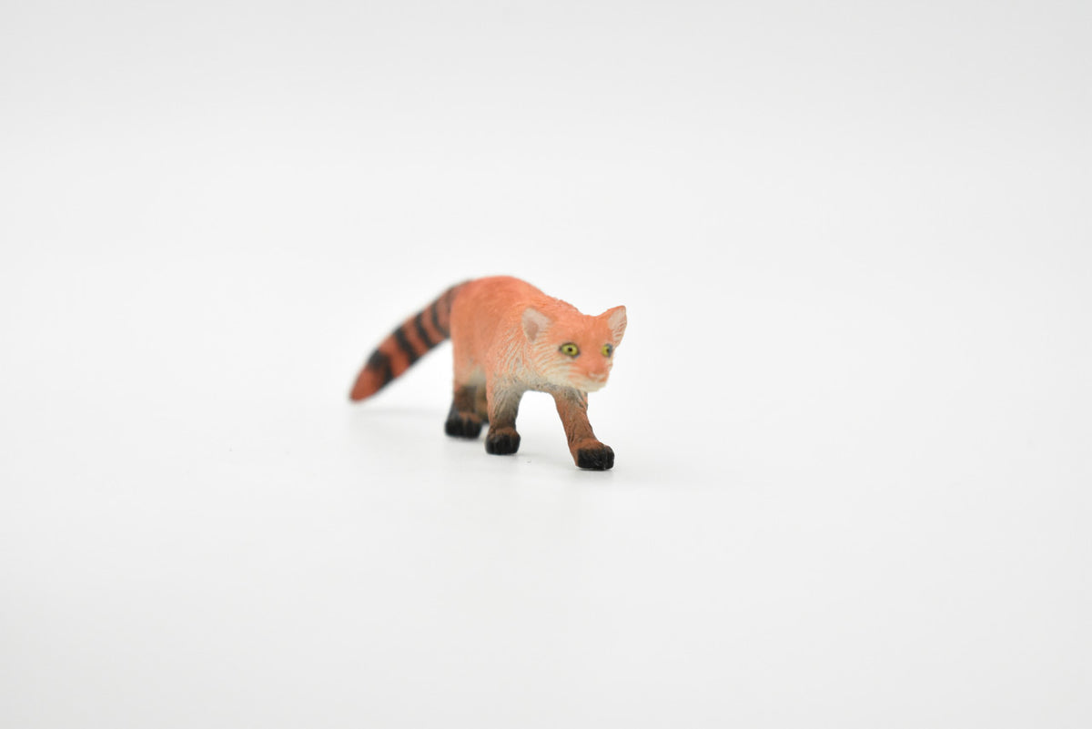 Mongoose, Red-tailed mongoose, Madagascar, Hand Painted, Realistic, Very Nice Rubber Design, Educational, Diorama Model, Lifelike, Toy, Gift,    3 Inches.    F1076 B175