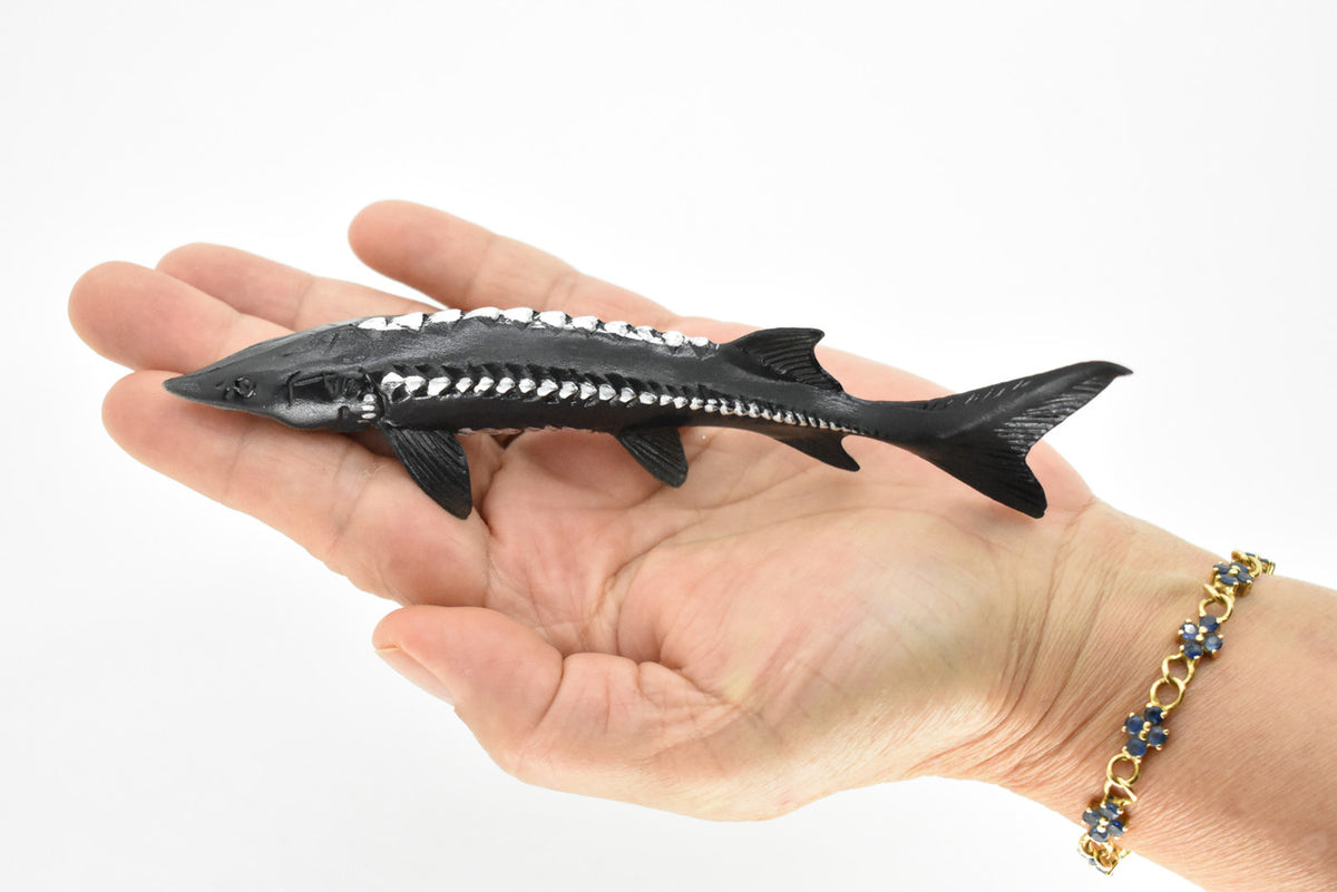 Sturgeon, Acipenseridae, Prehistoric, Museum Quality, Rubber Fish, Hand Painted, Realistic Toy Figure, Diorama Model, Kids, Educational,  6 Inches. 