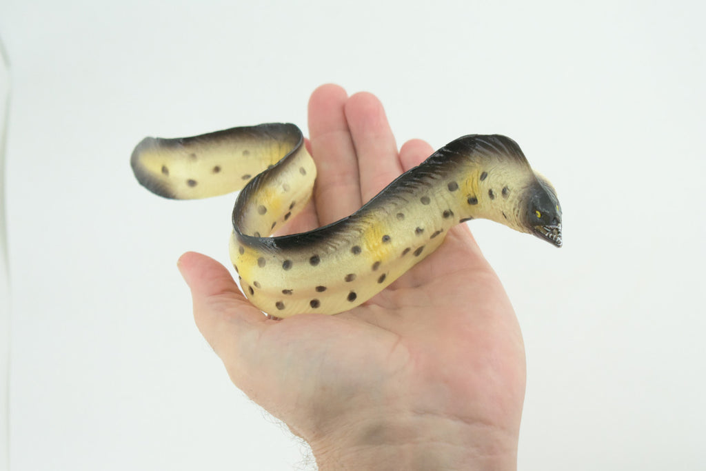 Moray Eel, Hand Painted, Museum Quality, Educational, Rubber Fish, Saltwater Eel, Realistic, Diorama, Toy, Kids, Gift, 9 Inches. CH791 BB186