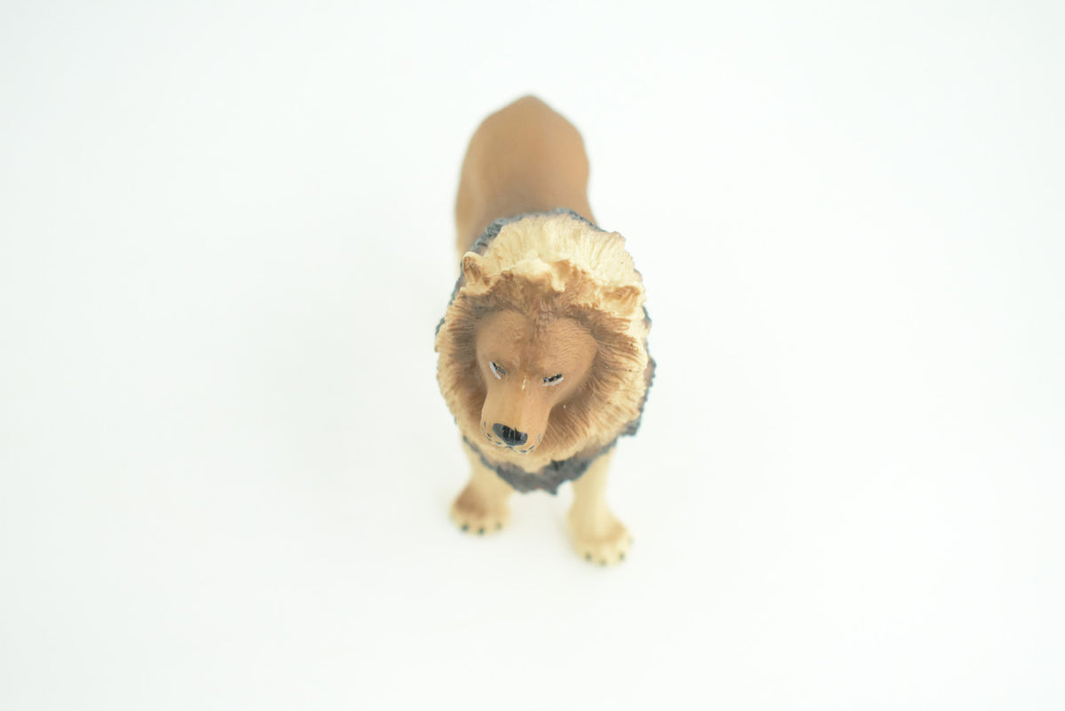 Lion, Male, King of the jungle, Museum Quality, Educational, Hand Painted, Rubber Animal, Realistic, Diorama, Toy, Kids, Gift,   5  Inches.  CH837 BB195