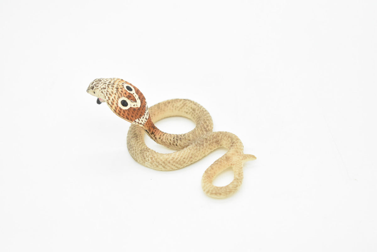 Cobra Toy, King, Snake, Reptiles, Very Realistic Rubber Figure, Model, Educational, Animal, Hand Painted Figurines,       3"       CH061 BB79