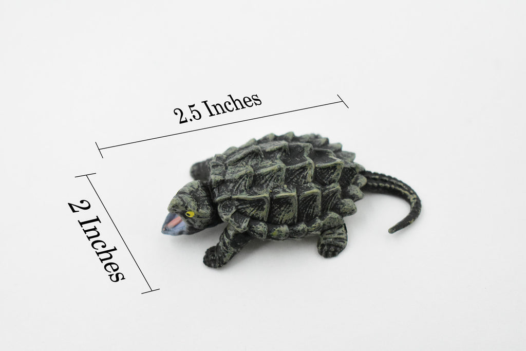 Alligator Snapping Turtle, Reptile, Hand Painted, Museum Quality, Educational, Realistic Toy Figure, Diorama Model, Kids,   2 1/2 Inches. 