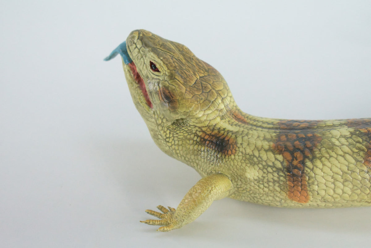 Blue Tongue Skink, High Quality, Hard Rubber Lizard, Hand Painted, Realistic Reptile, Toy Figure, Diorama Model, Replica, Kids, Educational, Gift,    15 Inches.   IM11 B657