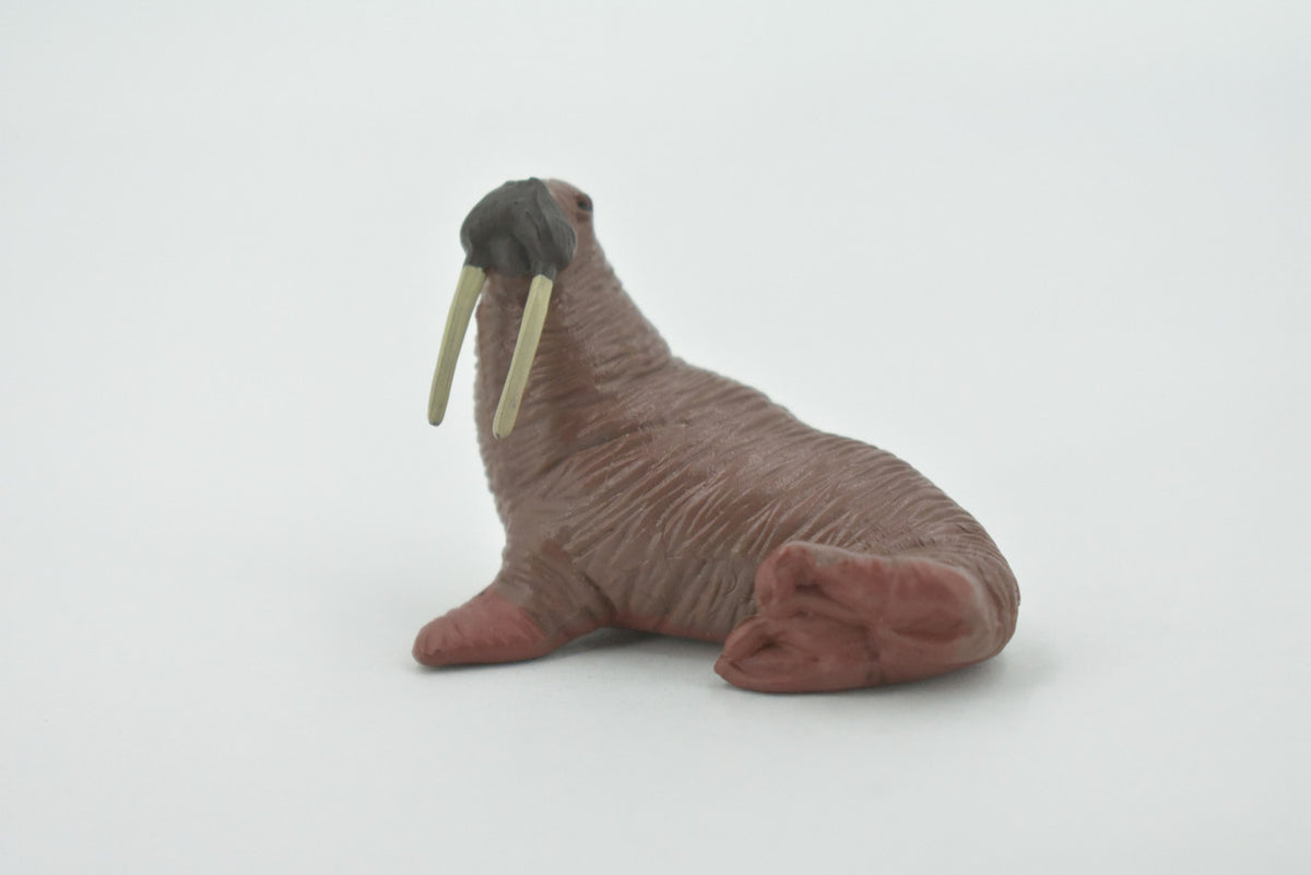 Walrus, Pinniped, Marine Mammal, Very Realistic Rubber Design, Educational, Hand Painted, Rubber, Realistic, Toy, Diorama Model, Kids, Gift,    2 1/4 Inches.