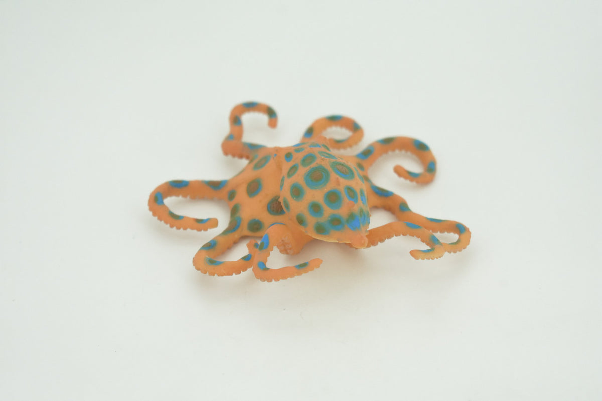 Octopus, Blue-ringed octopuses, Octopodes, Octopoda,Museum Quality, Hand Painted, Hard Rubber, Realistic, Model, Replica, Kids, Educational, Gift,   4 1/2"  CH299 BB181