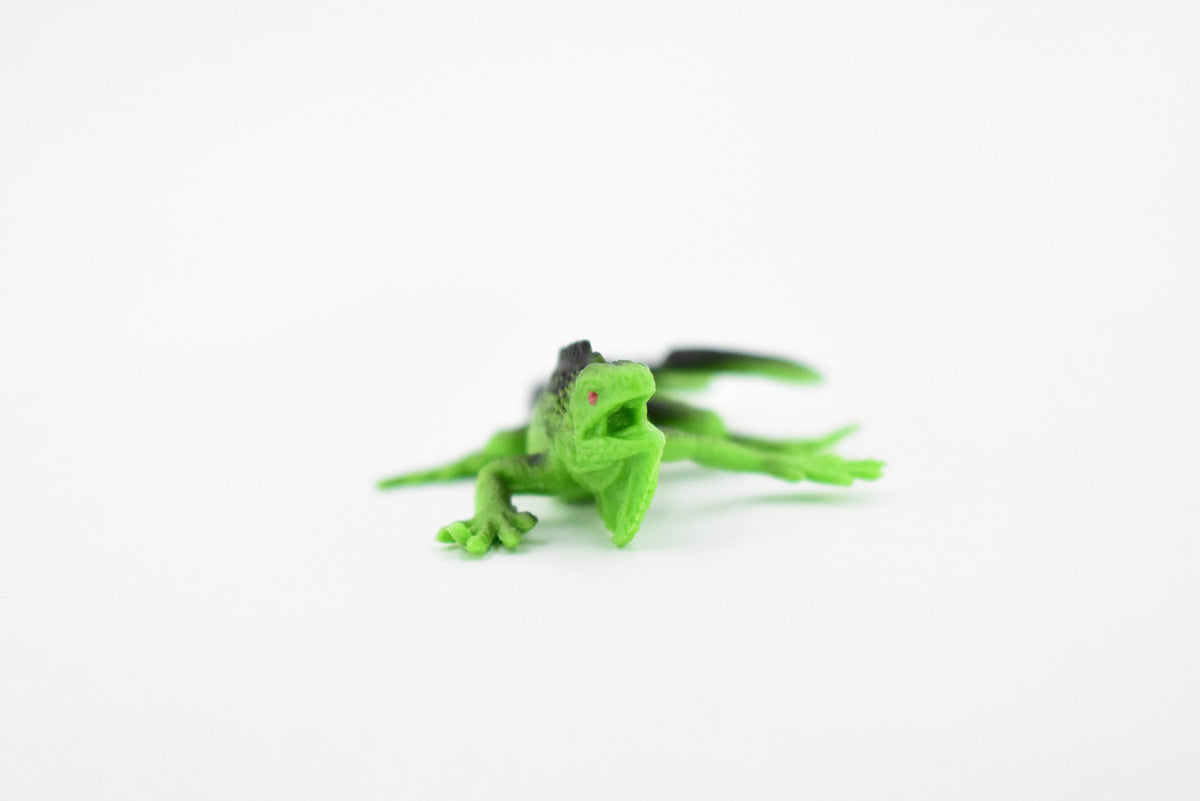 Iguana, Lizard, Rubber Reptile, Toy, Educational, Realistic, Figure, Lifelike Model, Figurine, Replica, Gift,   3 1/2"    F4481 B213