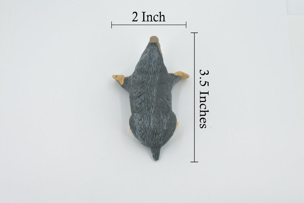 Mole, Rodent, Museum Quality, Hand Painted, Rubber Animal, Realistic, Figure, Model, Replica, Toy, Kids, Educational, Gift,       3 1/2"     CH508 BB156