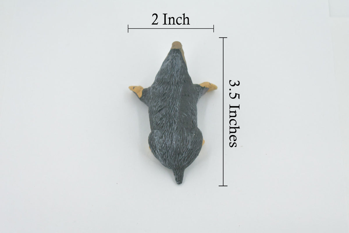 Mole, Rodent, Museum Quality, Hand Painted, Rubber Animal, Realistic, Figure, Model, Replica, Toy, Kids, Educational, Gift,       3 1/2"     CH508 BB156
