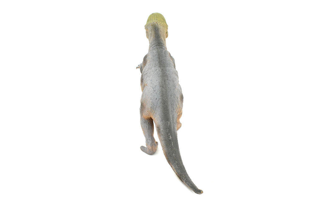 Stegoceras, Dinosaur, Late Cretaceous, Stegoceras validum, Museum Quality, Realistic, Educational, Hand Painted, Lifelike Design, Diorama Model, Replica, Toy, Gift      14 Inches        CWG156 BB32