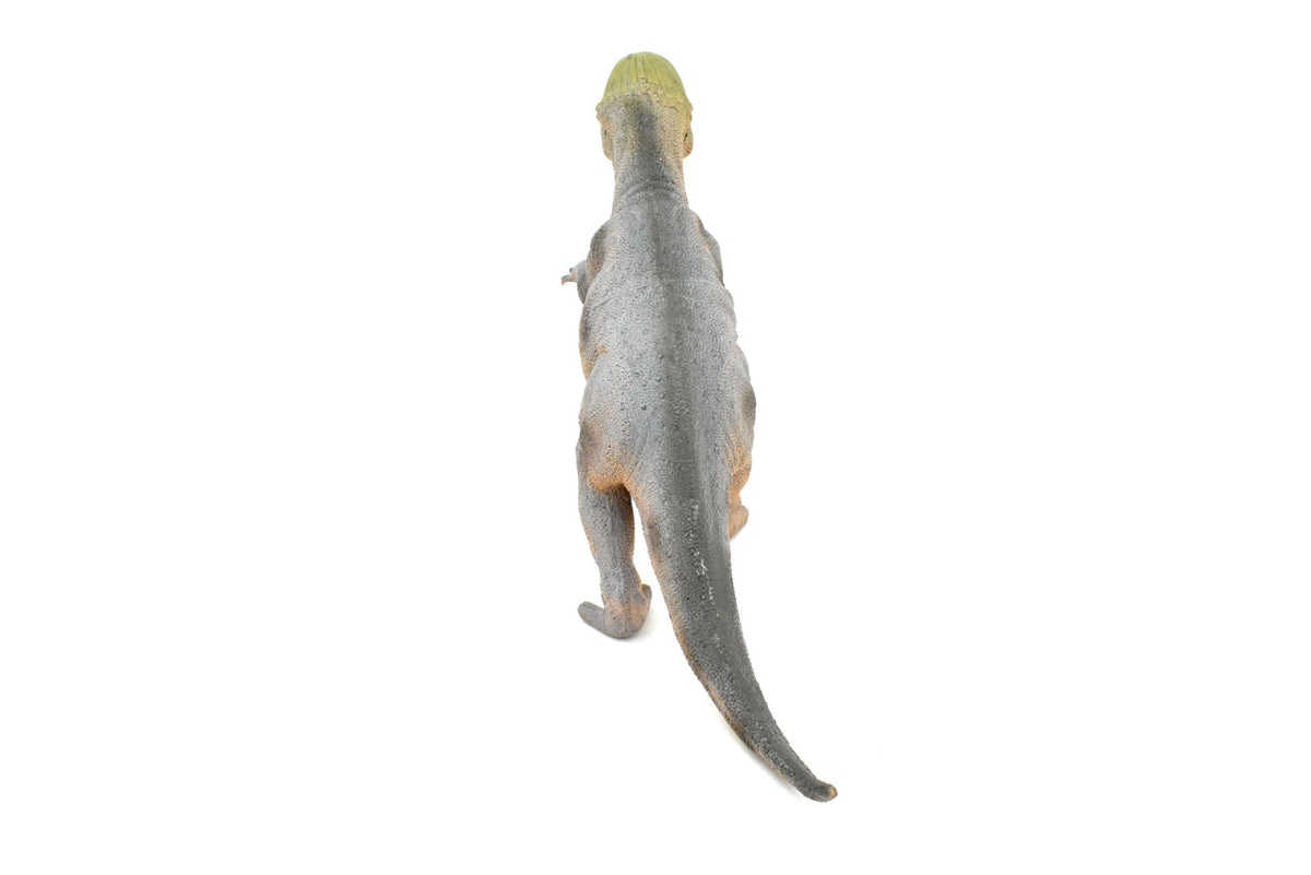 Stegoceras, Dinosaur, Late Cretaceous, Stegoceras validum, Museum Quality, Realistic, Educational, Hand Painted, Lifelike Design, Diorama Model, Replica, Toy, Gift      14 Inches        CWG156 BB32