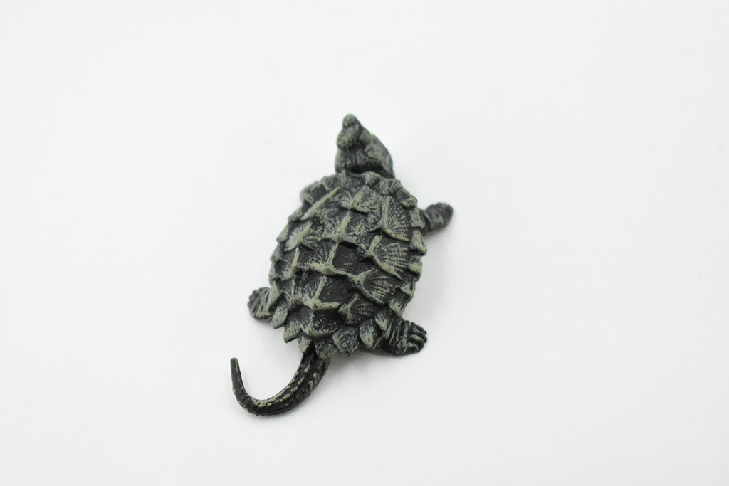 Alligator Snapping Turtle, Reptile, Hand Painted, Museum Quality, Educational, Realistic Toy Figure, Diorama Model, Kids, Gift,     2 1/2 Inches.   CH442 BB109
