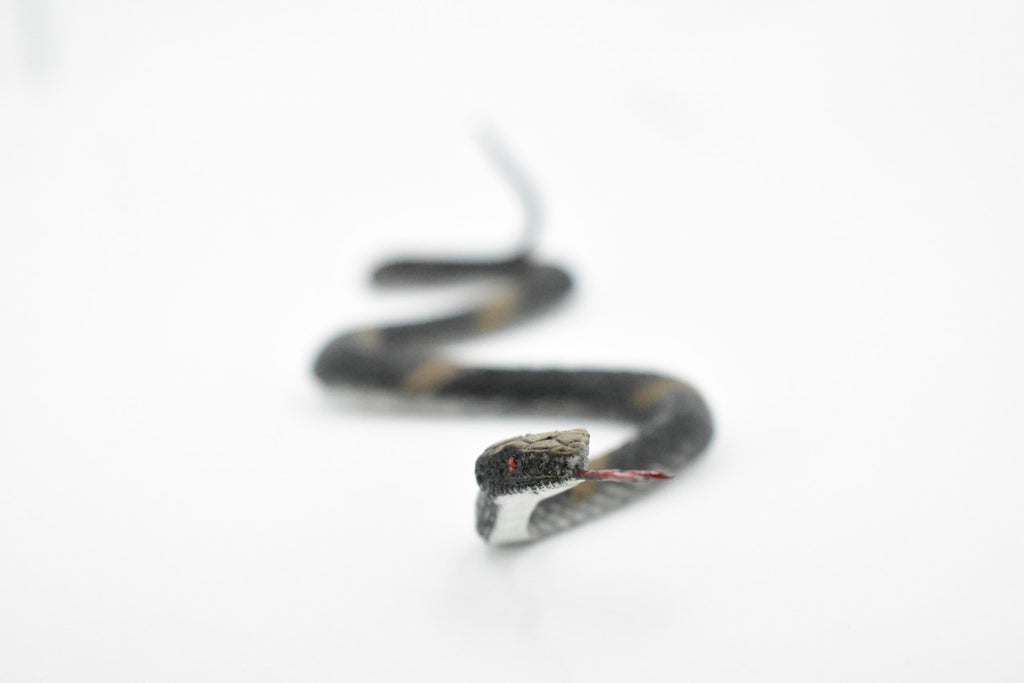 Snake, Gopher snake, Rubber Reptile, Educational, Realistic Hand Painted, Figure, Lifelike Model, Figurine, Replica, Gift,      10"       F2084 B142