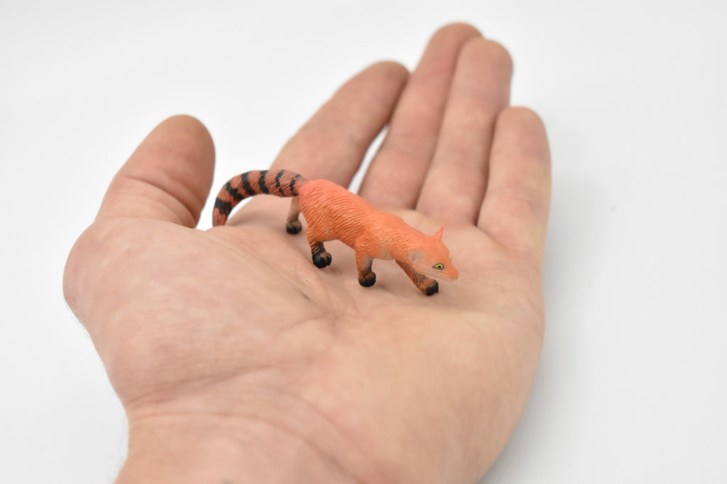 Mongoose, Red-tailed mongoose, Madagascar, Hand Painted, Realistic, Very Nice Rubber Design, Educational, Diorama Model, Lifelike, Toy, 3 Inches. 