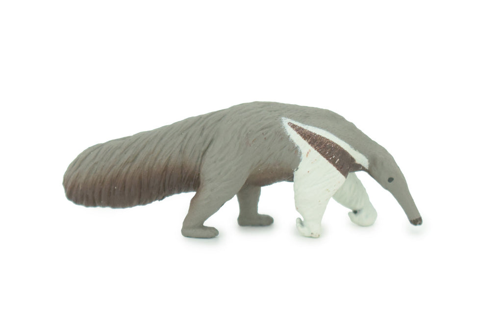 Anteater Toy Model
