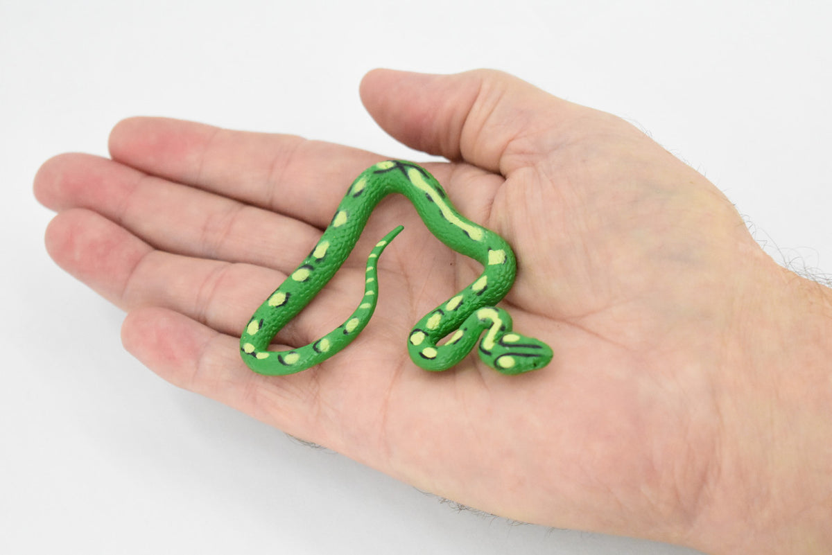 Guatemalan Palm Viper, Rubber Snake, Reptile, Hand Painted, Realistic, Very Nice Rubber Design, Educational, Diorama Model, Lifelike, Toy,  3 Inches. 