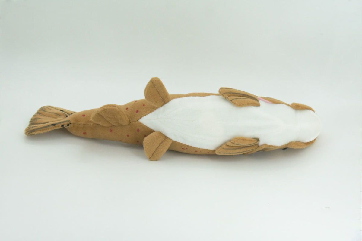 Brown Trout Plush Toy, Realistic Stuffed Animal, Soft Plush Fish, Stuffed Fish, Educational, Toy, Kids, Gift,         17"       F2416 BB53
