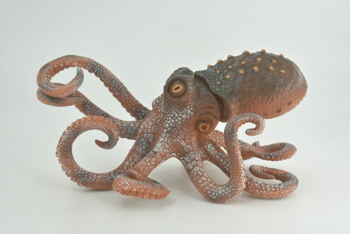 Octopus, Octopodes, Octopoda, Octopi, Ocean, Hand Painted, Rubber Realistic Toy Figure, Diorama, Model, Replica, Kids, Educational, Gift,   8 Inches   CH1000 BB219