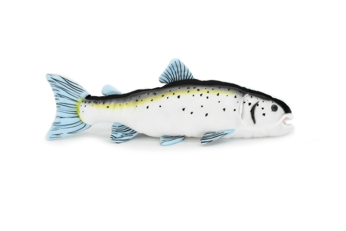 Atlantic Salmon, Very Nice Plush Fish, Stuffed Animal, Educational, Toy, Kids, Realistic Figure, Gift,          17" 