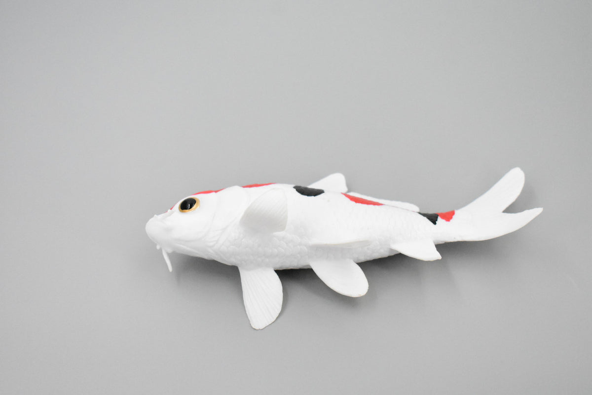 Fish, Koi, Amur Carp, Asian, Japanese Koii, Museum Quality, Hand Painted, Rubber Fish, Realistic Toy Figure, Model, Replica, Kids, Educational, Gift,    6"     CH387 BB144