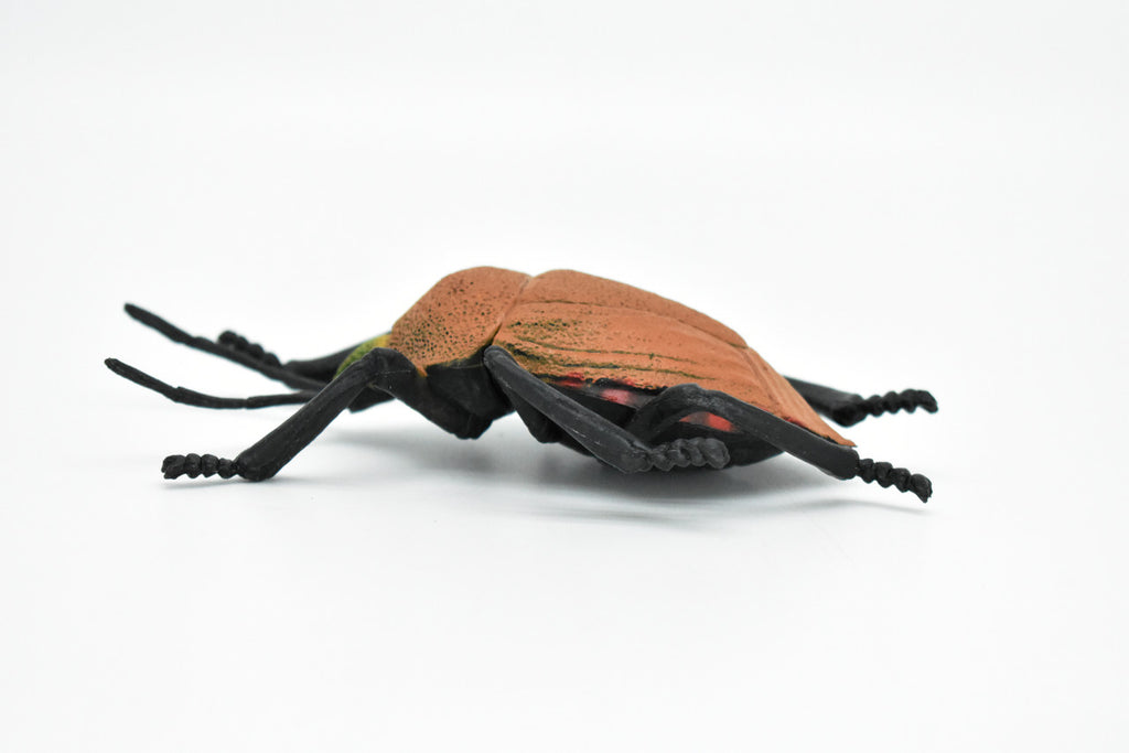 Beetle, Japanese, brown Very Nice Plastic Replica    5"   -    F2066 B133